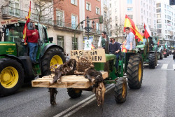 Los ganaderos vuelven a cortar Santander y depositan el cad&aacute;ver de un potro atacado por el lobo ante la Delegaci&oacute;n