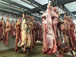 Los grandes mataderos tendr&aacute;n que tener sistemas de viodeovigilancia a partir de agosto de 2023
