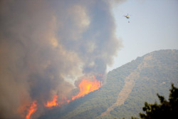Los incendios arrasan miles de hect&aacute;reas en varios puntos de Espa&ntilde;a