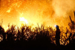 Los incendios han quemado m&aacute;s de 362.000 hect&aacute;reas en toda Espa&ntilde;a entre el 1 y el 21 de agosto, seg&uacute;n Copernicus
