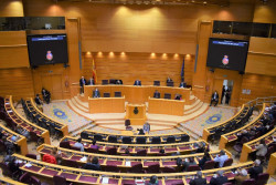 Los letrados del Senado sostienen que la amnist&iacute;a es inconstitucional: "Es una reforma encubierta de la Constituci&oacute;n"