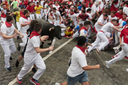 Los Miura cierran los encierros de San Ferm&iacute;n con una carrera rapid&iacute;sima y limpia