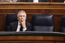 Marlaska asegura que dimitir&aacute; si la v&iacute;ctima por la presunta agresi&oacute;n sexual del DAO dice que se sinti&oacute; desprotegida
