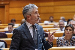 Marlaska dice que no sospech&oacute; de &Aacute;balos, luego lo considera culpable.&iquest;? y se entera por la prensa 