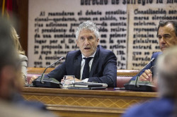 Marlaska se opone a las pulseras a pir&oacute;manos como quiere el PP 