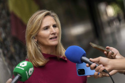 Mart&iacute;n (PP) denuncia que el Gobierno "hace caja" con impuestos mientras la cesta de compra ha subido un 37% desde 2018