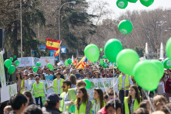 Multitudinaria manifestaci&oacute;n en Madrid contra la "cultura de la muerte" de leyes como la del aborto y la eutanasia
