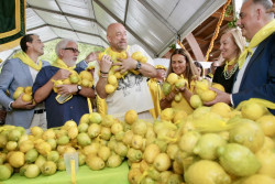 Novales celebra los Limones Solidarios con Goyo Jim&eacute;nez como embajador y el objetivo de recaudar m&aacute;s de 30.000 euros