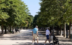 ONG alaban la contribuci&oacute;n social y emocional de los abuelos y piden acabar con estereotipos edadistas: "Son aut&oacute;nomos"