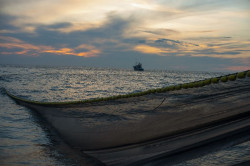 Pesca garantiza la pesca de anchoa para la flota del Cant&aacute;brico y noroeste desde hoy
