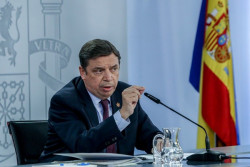 Planas, sobre el Perte agroalimentario: "Es una oportunidad de futuro y un instrumento de transformaci&oacute;n"