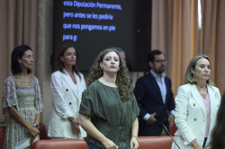 PP critica la "actitud de brazos ca&iacute;dos" del Gobierno ante incendios 
