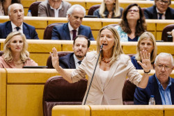 PP exige en el Senado el cese de Redondo por pulseras antimaltrato, que Gobierno pida perd&oacute;n a v&iacute;ctimas y una auditor&iacute;a