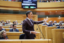 PP, Junts, Vox, UPN y Cs presentan veto en el Senado a la reforma del C&oacute;digo Penal a la espera de la decisi&oacute;n del TC
