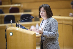 PP y PSOE tumban en el Senado la propuesta de ERC para permitir que los ayuntamientos se endeuden en caso de cat&aacute;strofe