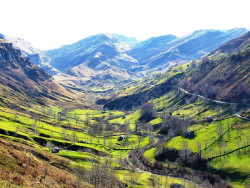PRC urge la extracci&oacute;n de lobos en San Roque de Riomiera para evitar "escarnios" en la suelta del ganado