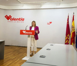 PSOE pide que se celebre un debate monogr&aacute;fico  sobre el racismo cuando el debate debe ser sobre la inmigraci&oacute;n