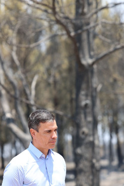 S&aacute;nchez insta a trabajar "juntos" contra los incendios cuando debe ofrecer m&aacute;s medios, dinero y medidas correctoras para evitar los incendios