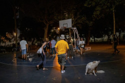 Sanidad notifica 2.761 casos y 39 muertes por COVID-19