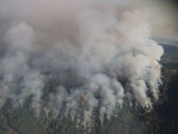 Sigue el  fuego intensamente en Santa Cruz del Valle,Avila. desde el viernes