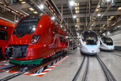 Suspensi&oacute;n cautelar para que Renfe informe del problema de los trenes y t&uacute;neles a una particular