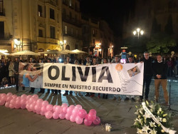 TSJ precisa que no se dio la custodia de la ni&ntilde;a de Gij&oacute;n al padre al tener causa abierta por violencia de g&eacute;nero
