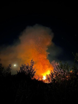 Un fuego afecta a una de las islas del Tajo en Toledo, en una zona de dif&iacute;cil acceso