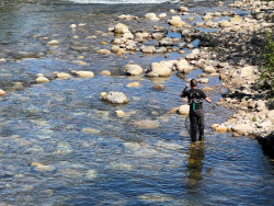 Un pescador asturiano captura el `campanu` de Cantabria en el r&iacute;o Pas, un macho de 3,8 kilos
