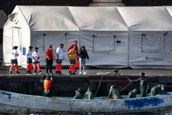Un total de 31.155 migrantes han llegado a Espa&ntilde;a de forma irregular en 2024, 2.124 en la primera quincena de agosto