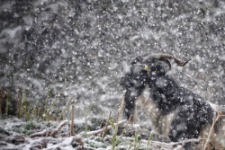 Una masa de aire &aacute;rtico hace caer la cota de nieve y las tormentas, viento y olas siguen hasta el viernes