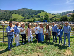 Unas 800 reses participan en la concentraci&oacute;n ganadera de Gandarilla, en San Vicente