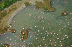 Unesco quiere que Espa&ntilde;a tome medidas para que el acu&iacute;fero de Do&ntilde;ana no entre en la Lista del Patrimonio en Peligro