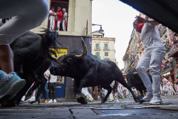 Veloz y multitudinario quinto encierro de los Sanfermines, protagonizado por los Jandilla
