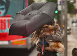 Viento, lluvia y oleaje afectar&aacute;n ma&ntilde;ana a Galicia, la cornisa Cant&aacute;brica y Almer&iacute;a