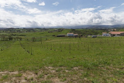 Zuloaga anuncia 5 millones de euros para j&oacute;venes agricultores y modernizaci&oacute;n de explotaciones
