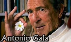 A la política se dedican quienes no sirven para otra cosa. (Gala)