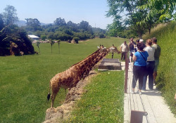 Agentes de viajes argentinos visitan Cantabria para conocer su oferta de turismo de naturaleza