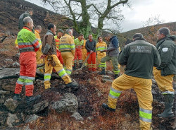  Agentes del Medio Natural de Cantabria trabajan en la extinci&oacute;n de un incendio en Quintanas de Hormiguera