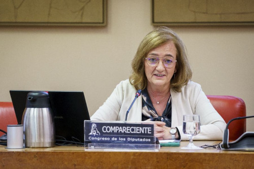 AIReF cuestiona llenar la `hucha` de pensiones con transferencias cuando Seguridad Social tiene déficit