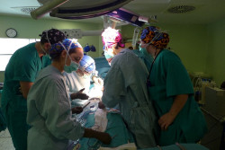 ALCER espera que se aprueben las bajas laborales de donantes vivos de órganos durante 2024