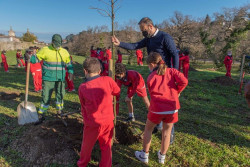 Alumnos de La Paz realizan una plantaci&oacute;n de &aacute;rboles aut&oacute;ctonos en el Parque Miravalles