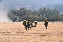 Animalistas reclaman a Arag&oacute;n que siga el ejemplo de Portugal e incluya el rescate animal en la extinci&oacute;n de incendios