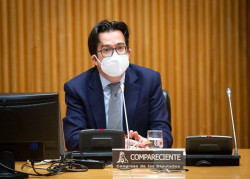 Asedas (Dia y Mercadona) reclama en el Congreso priorizar la vacunaci&oacute;n de los trabajadores del supermercado