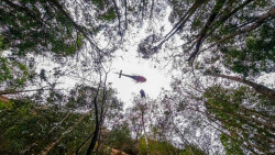Australia alerta de "tormentas severas" con riesgo de inundaciones en zonas afectadas por los incendios