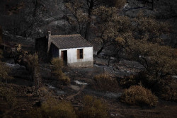 Berrocal pedir&aacute; la declaraci&oacute;n de zona catastr&oacute;fica tras el incendio: "El verdadero drama empieza ahora"