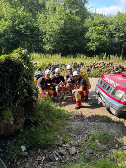  Bomberos rescatan a una perra ca&iacute;da en una sima en un monte de Villasuso en Cieza