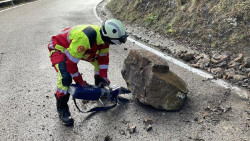 Bomberos retiran una piedra de grandes dimensiones en la CA-881 en Cillorigo de Liébana