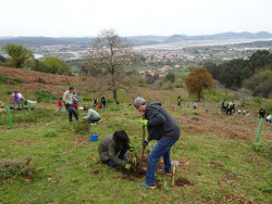 Bosques de Cantabria plantará este mes 2.000 árboles en Colindres junto a voluntarios
