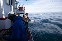 Bruselas activa ayudas de emergencia para el sector pesquero por el impacto de la crisis en Oriente Pr&oacute;ximo