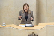 Buruaga dice al PSOE que este gobierno se parece al PSOE-PRC como un huevo a una casta&ntilde;a